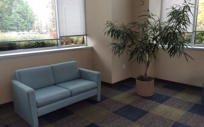 Ficus alli